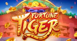 Mobile live casino layout on rbajee login with clear controls for Bangladesh users